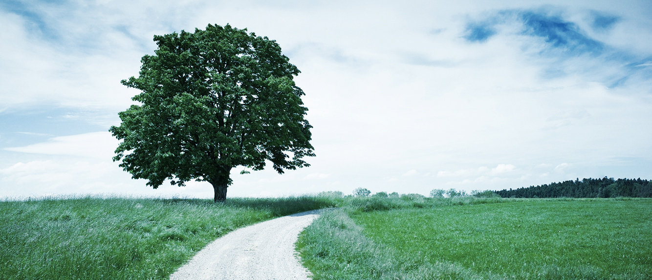 header_tree